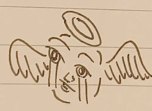 哭泣天使之颅