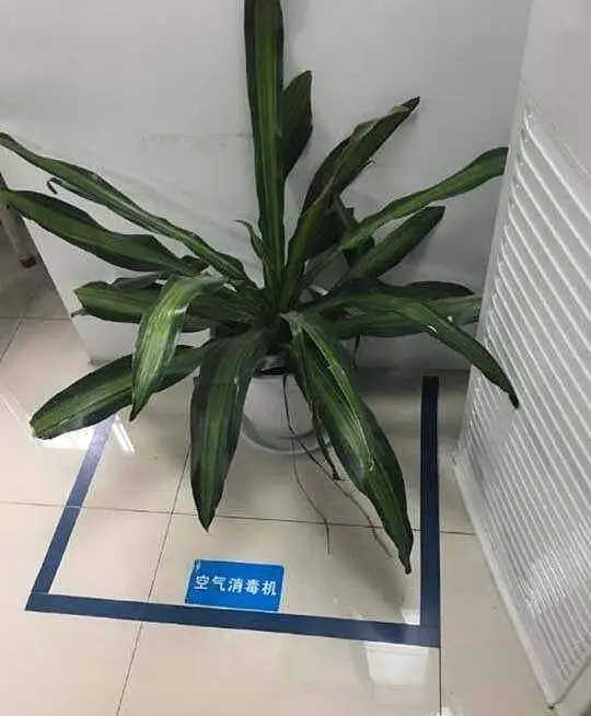 闲聊茶馆,沙雕图