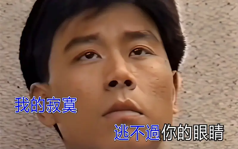 伍思凱 特別的愛給特別的你 KTV 高清修復版