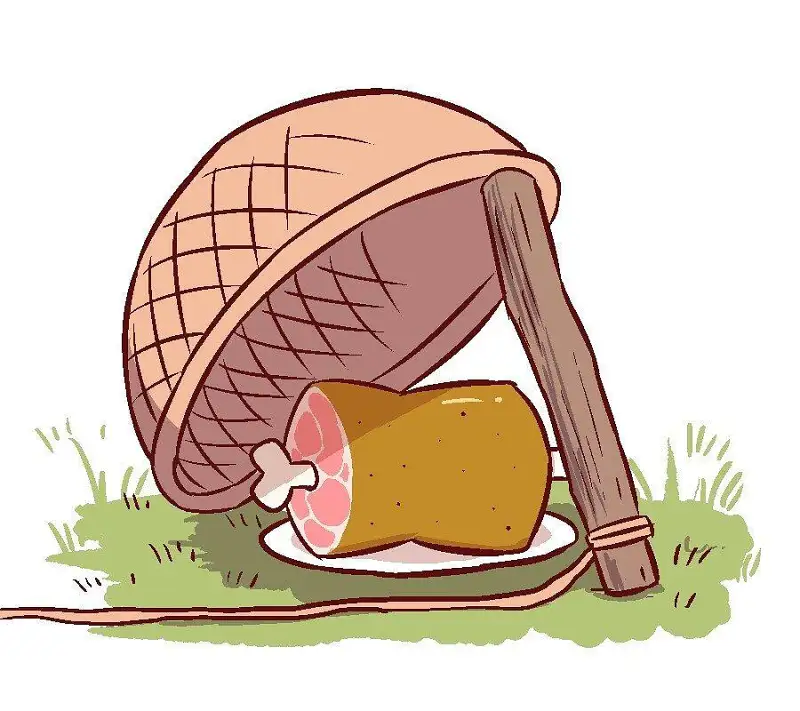 M站美图,宠物