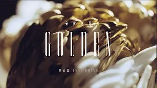 [转载]郑宜农Enno Cheng  金黄色的 MV