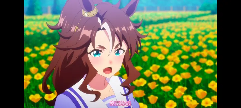 赛马娘,赛马娘PrettyDreby,赛马娘第二季,动画,动漫,番剧,二次元,ACG