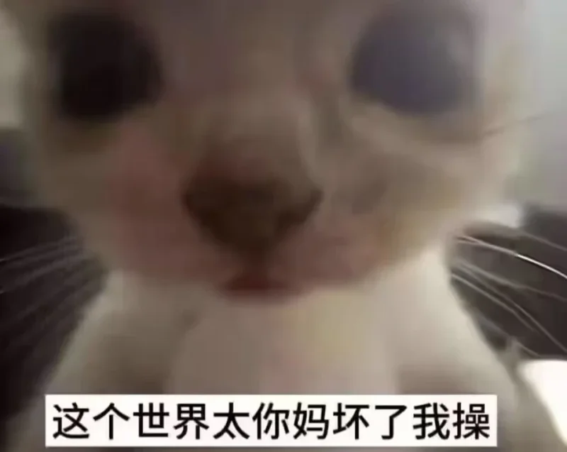 红透半边天