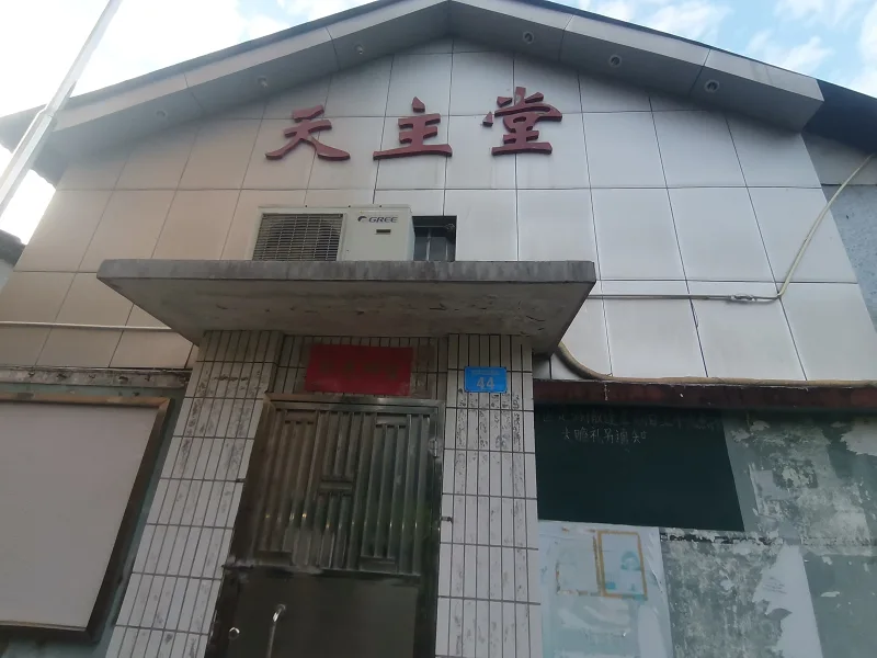 新辰一报,五月飘雪