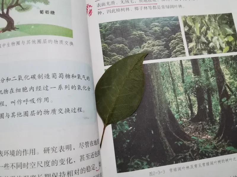 （过去的某瞬与现在的相交）