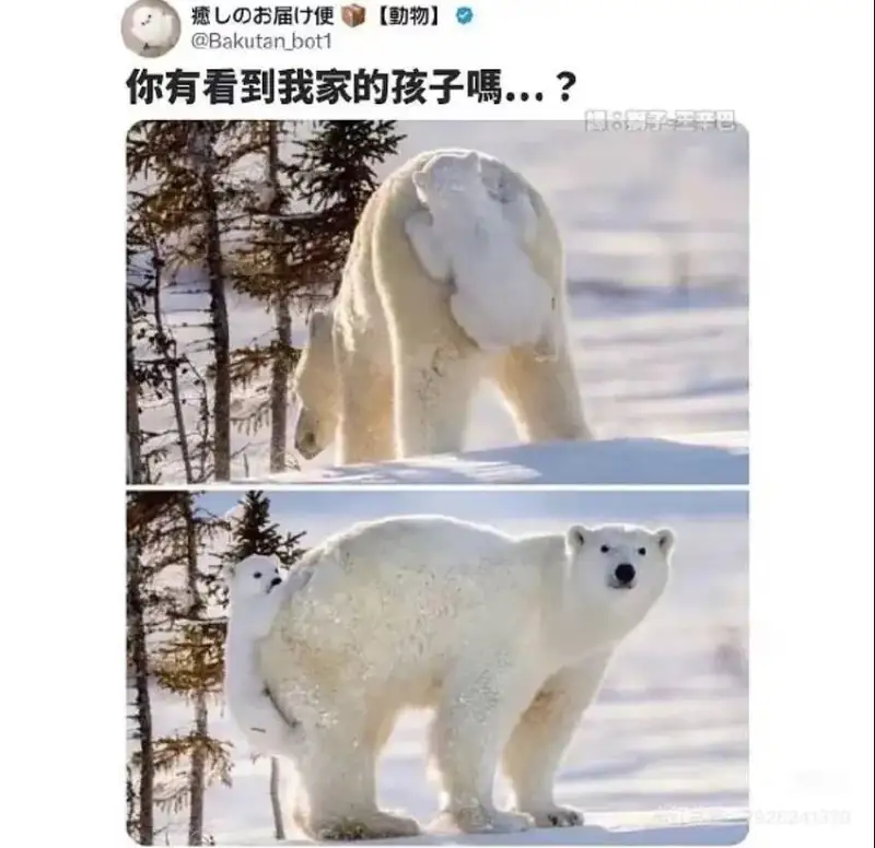 梗图