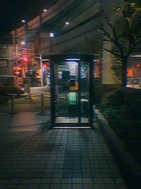 早已醒来。