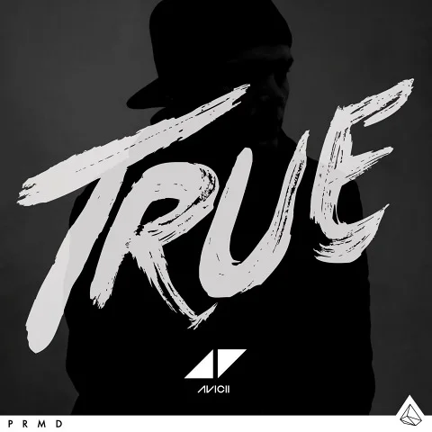 you make me avicii
