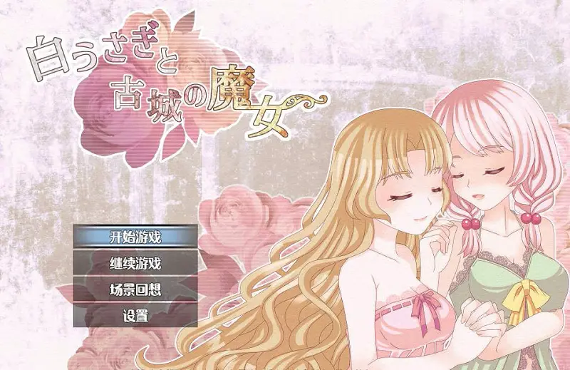 白兔与古堡魔女1G/度盘