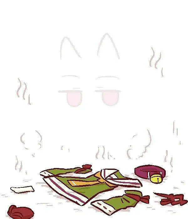 M站美图,宠物