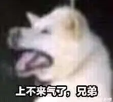 【APEX】这25秒包含了我俩对APEX3000小时的理解