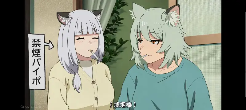 尼古喵喵,雅尼猫,动画,动漫,番剧,日漫,二次元,ACG