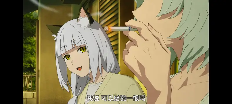 雅尼猫,尼古喵喵,动画,动漫,番剧,日漫,二次元,ACG