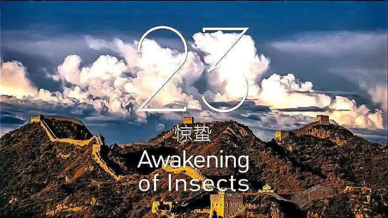 闲聊茶馆,壁纸