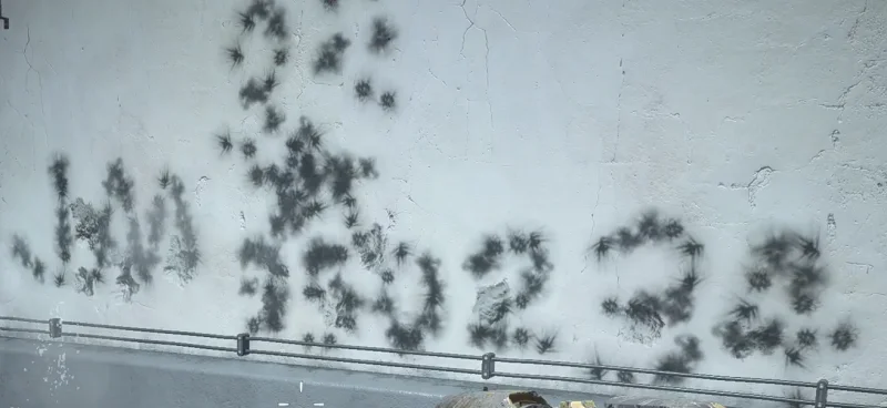 正在雕刻神秘数字的摸你穷