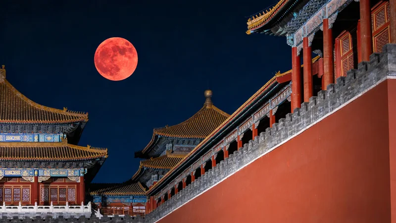 纪录向——老年诱捕器，但是元宵节