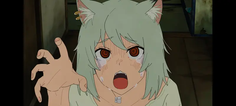 【雅尼猫/尼古喵喵】：第5集