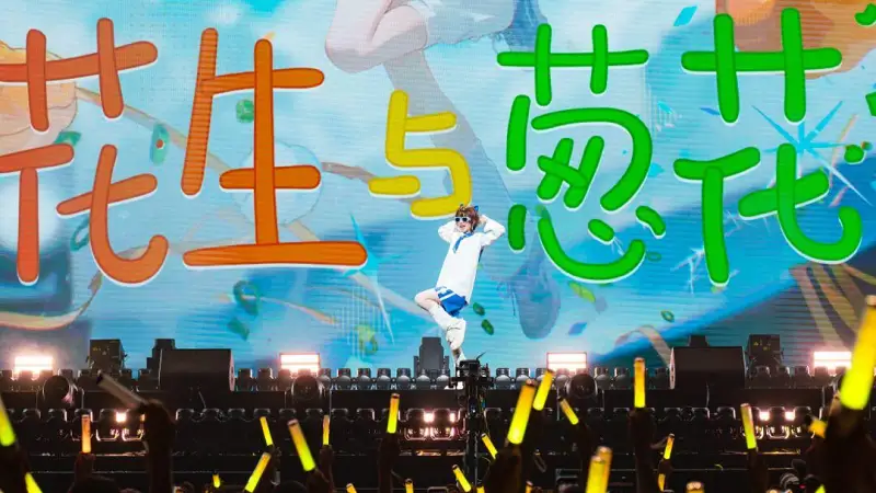 【4K超高清】hanser「花生与葱花」演唱会全程录像