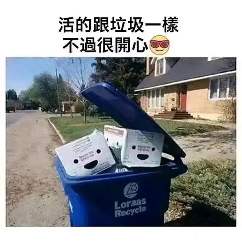 看到群友发的感觉很有深意的一组图 分享给喵友开心开心