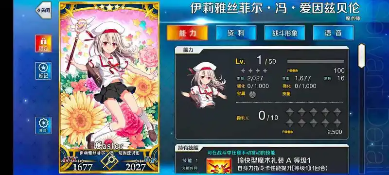 绘画创作,FGO