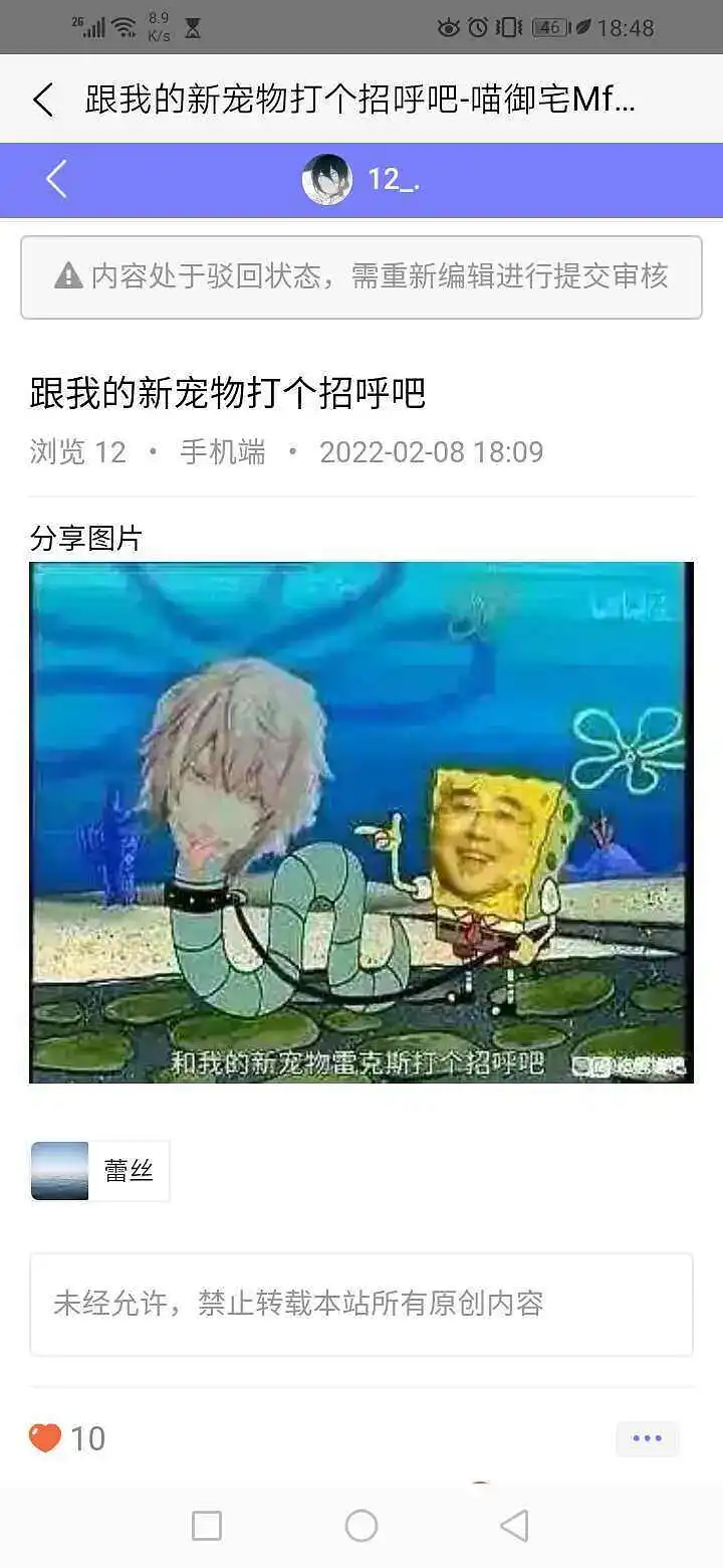 蚌埠住了