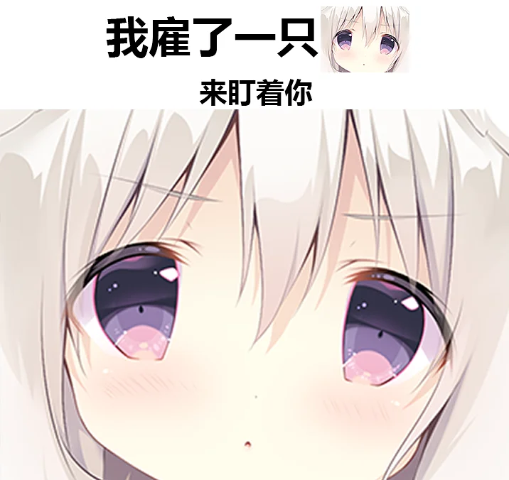 Galgame,巧可甜恋,表情包