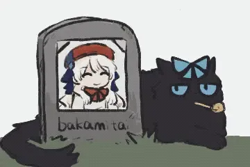 新人报道！