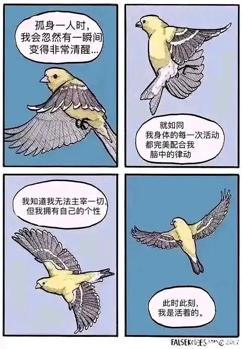 meme