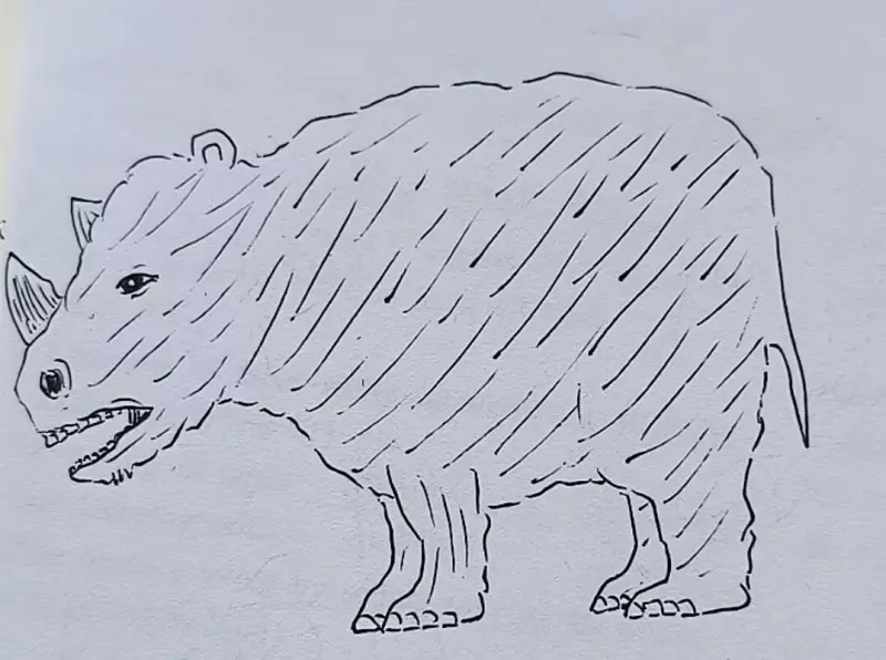 犀牛