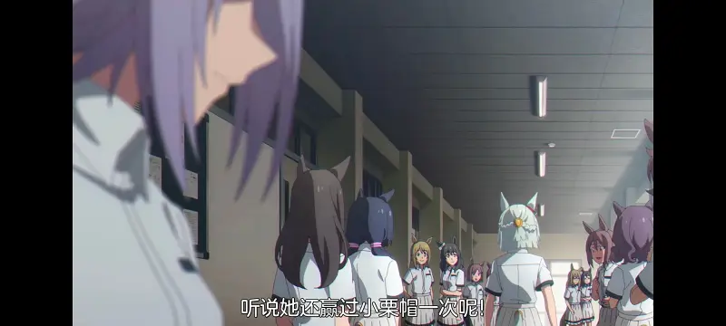 赛马娘,赛马娘PrettyDreby,赛马娘芦毛灰姑娘,芦毛灰姑娘,动画,动漫,番剧,ACG