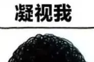 蚁泽下注