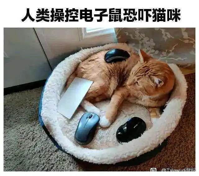 闲聊茶馆