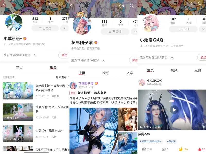 A站,快手,二次元