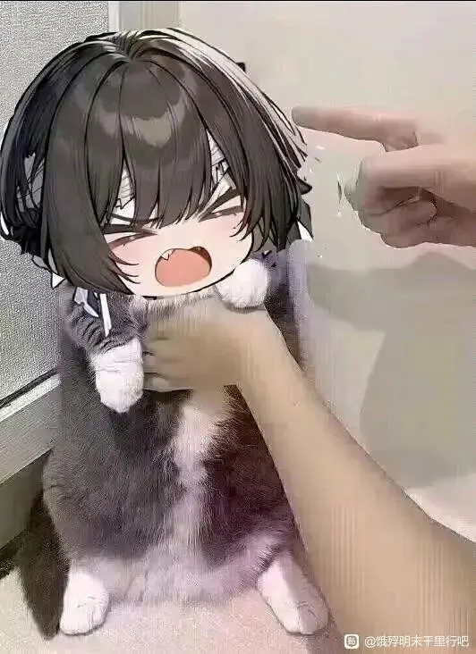 用户头像
