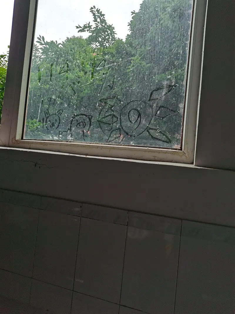 意外的发现
