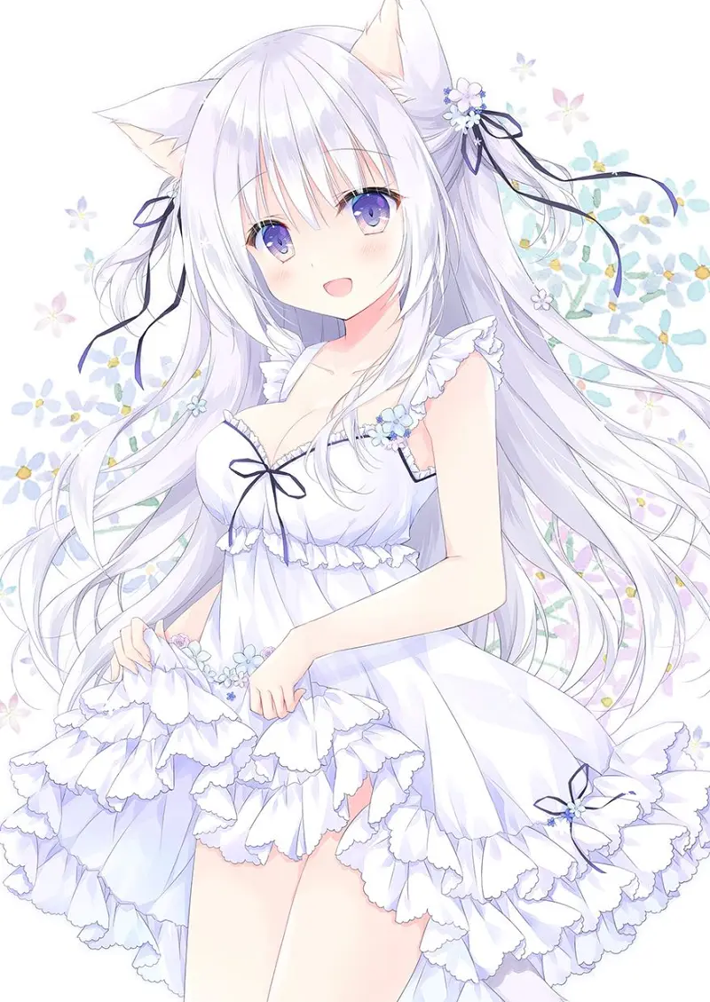 猫娘,涩图,二次元