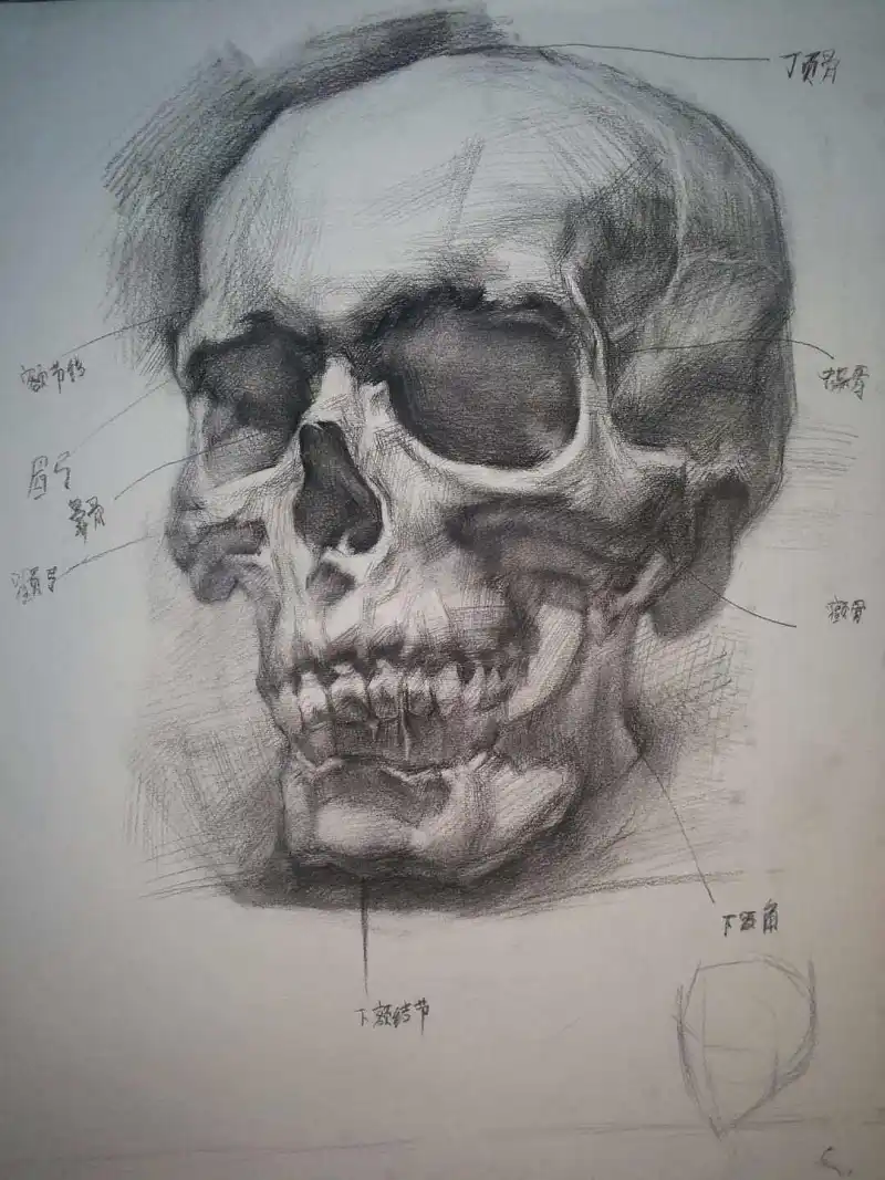 绘画创作,绘画,绘画交流,绘画练习