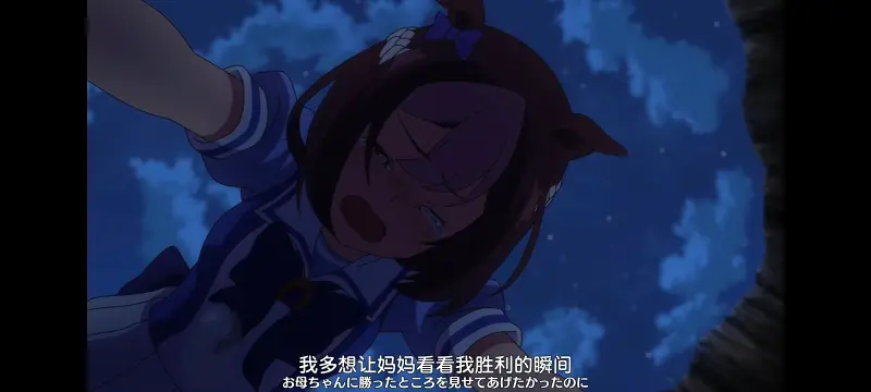 赛马娘,赛马娘PrettyDreby,动画,动漫,番剧,ACG