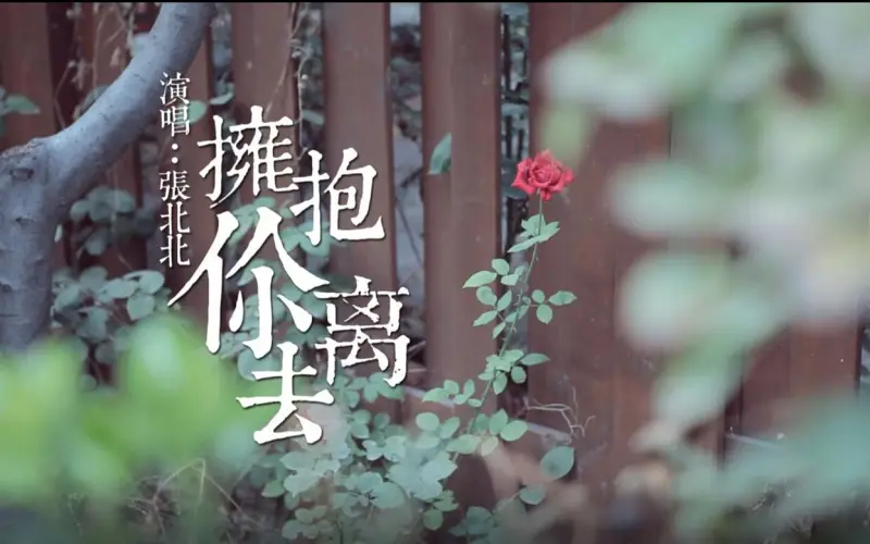 【官方MV】张北北《拥抱你离去》