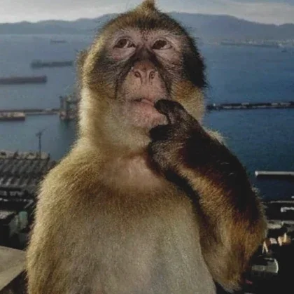 脑袋空空,猿图