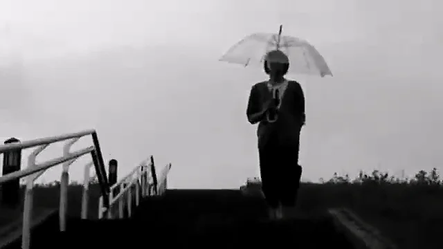 每日多雨