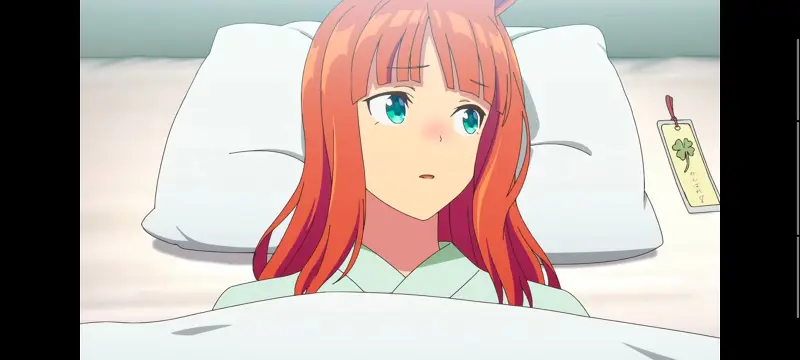 赛马娘,赛马娘PrettyDreby,动画,动漫,番剧,ACG