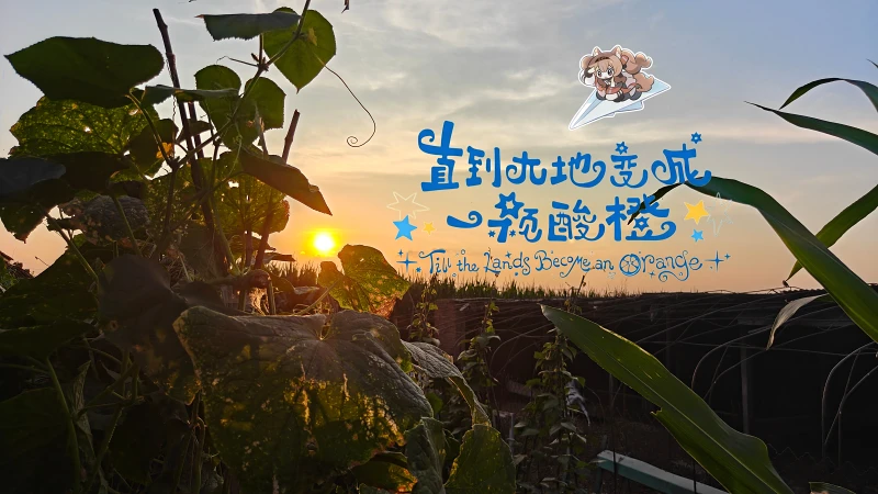 采桑子·不期