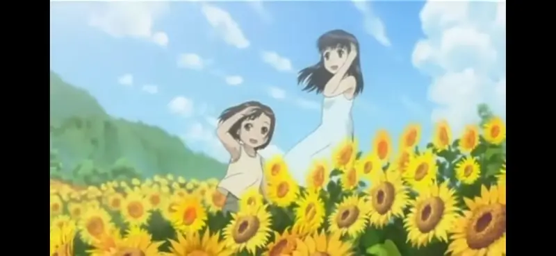 物怪,水树奈奈,川澄绫子,老番,动漫,感想