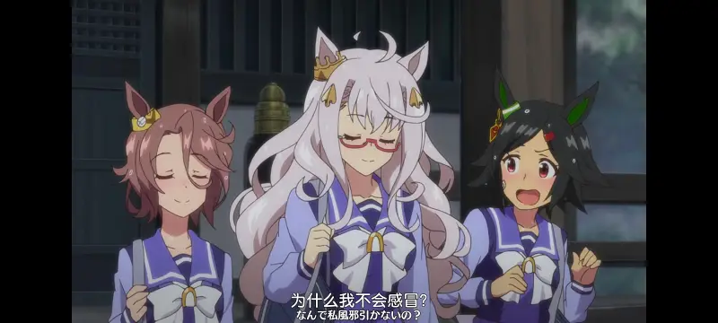 赛马娘,赛马娘PrettyDreby,动画,动漫,番剧,ACG
