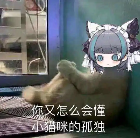 懵啦