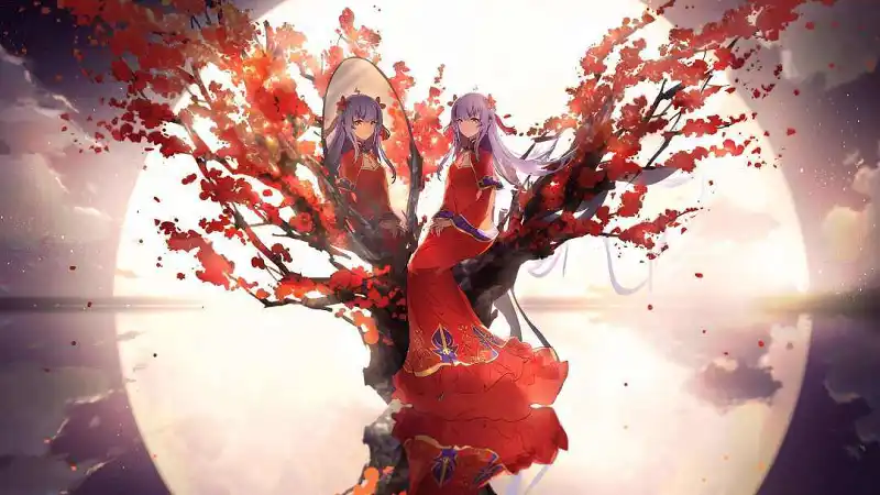 M站美图,2233