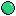 Ventricaria ventricosa(demo.)