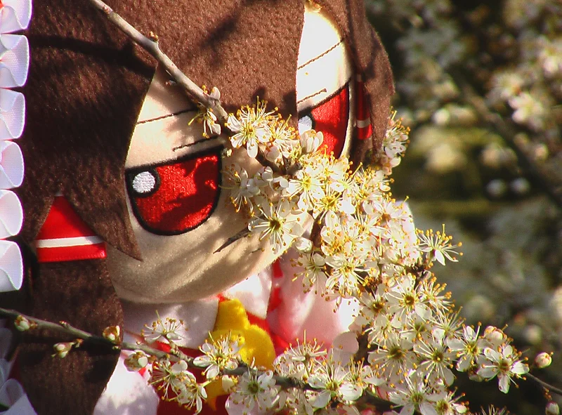 东方project,fumo