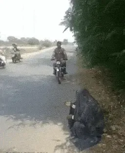 M站美图,艹图